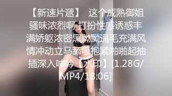 极品美乳娇俏小情人空姐制服装