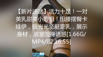 长城女模特张玖玲最全视频