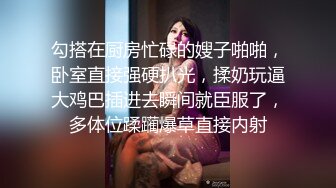 SWAG 老板请的性感女仆打扫偷懒被处罚一顿！ 芮芮