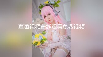 粉批＆少女感＆吹箫小可爱」P站★★★博主YourSofia手动去重合集【128V (10)