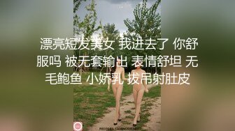 苍先生天堂系列-东方明珠下的黑丝女神