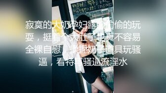 《最新曝料重磅泄密》顶级身材著名封面模特国产女神【苏莱娜】私拍，被大洋屌花臂男各种输出，紫薇肛塞形象反差极大