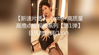 【新速片遞】  twitter高质量高撸点短视频系列【第1弹】巨乳与玩具(13V) 