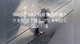 【中文字幕】WANZ-764 只要能忍耐住就能無套中出內射 AIKA 波多野結衣