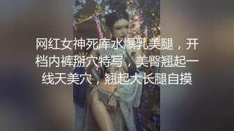 黑丝少妇三部曲第一部