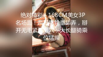 麻豆传媒 MCY-0027《空姐女友被强暴》-苏清歌