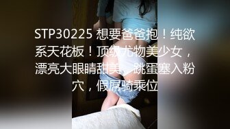   极品轻熟女美少妇，吸奶器调教，绳艺调教，完美开三洞