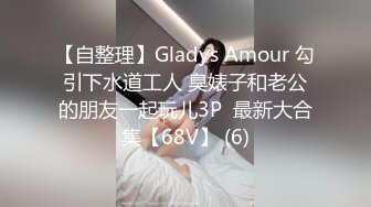 你的女神有钱人的母狗，推特金主【优雅金领S】，有钱又会玩女，各种拜金外围女模臣服屌下，露出调教啪啪让人羡慕 (3)