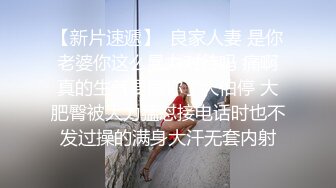 回归：在上海的前奏