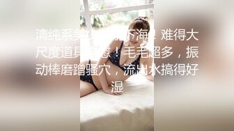 《极品反差骚妻》91红人淫乱夫妻【你嘴珍贵】私拍，骚妻蜜桃臀大乳头户外露出野战，喜欢肉棒道具配合玩肏