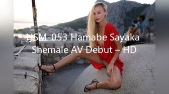 HSM-053 Hamabe Sayaka Shemale AV Debut – HD