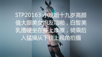 STP20163 小姐姐十九岁高颜值大眼美女炮友啪啪，白皙美乳撸硬坐在身上摩擦，骑乘后入猛操从下往上视角拍摄