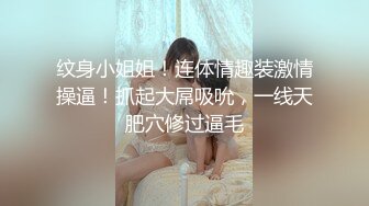 苏倩.母犬调教贤妻女仆的极致服务.天美传媒