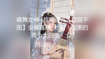 裸舞女神~超级漂亮【猫猫不困】全裸骚舞~秒射！完美的两个大白兔！ (2)