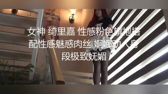 女神 绮里嘉 性感粉色旗袍搭配性感魅惑肉丝 婀娜动人身段极致妩媚