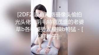 女友高清系列（第二部）