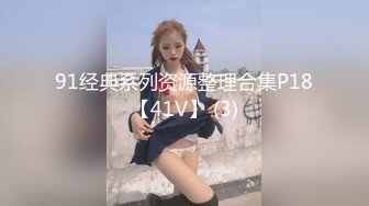 91经典系列资源整理合集P18【41V】 (3)