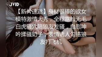 即含即插ＯＫ的绝对领域侍奉女仆