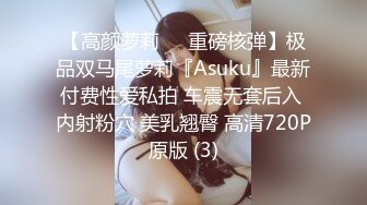 【高颜萝莉❤️重磅核弹】极品双马尾萝莉『Asuku』最新付费性爱私拍 车震无套后入 内射粉穴 美乳翘臀 高清720P原版 (3)