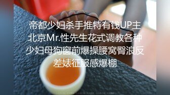 帝都少妇杀手推特有钱UP主北京Mr.性先生花式调教各种少妇母狗窗前爆操腰窝臀浪反差婊征服感爆棚