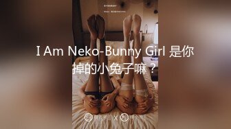 I Am Neko-Bunny Girl 是你掉的小兔子嘛？