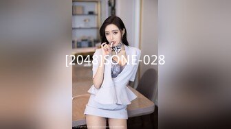 [2048]SONE-028