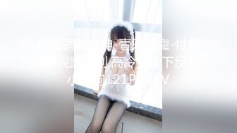 極品網紅女神-壹只萌寵-付費VIP視圖福利,高冷女神下反差小母狗121P+93V