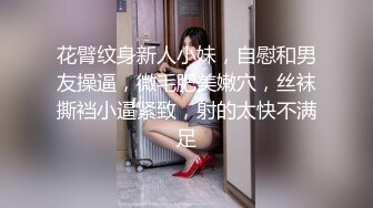 极品身材前女友上位