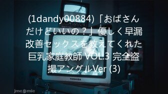 (1dandy00884)「おばさんだけどいいの？」優しく早漏改善セックスを教えてくれた巨乳家庭教師 VOL.3 完全盗撮アングルVer (3)